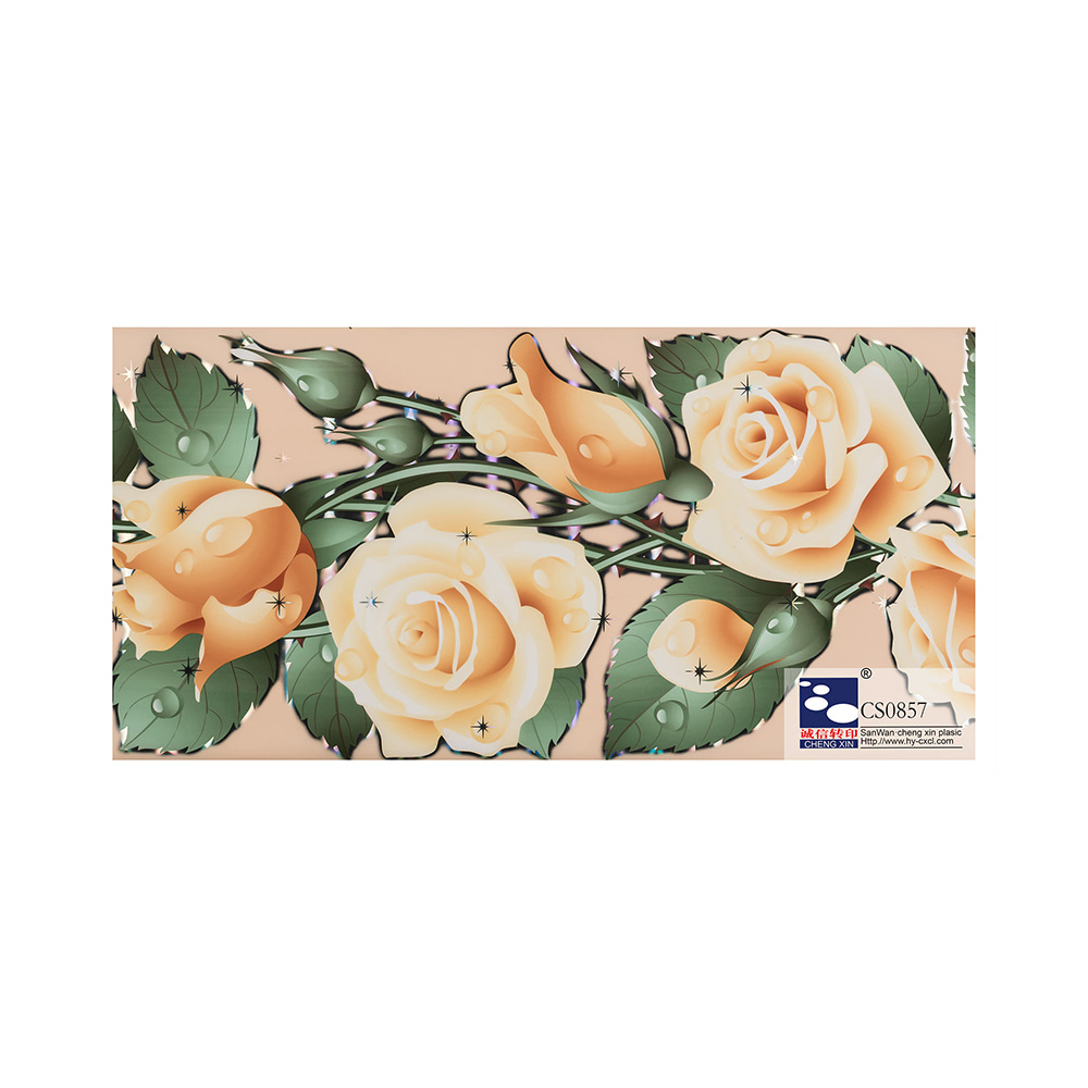 Tutus 2021 novus designandi pvc color excudendi laquearia aenea foil composita pvc film CS0857